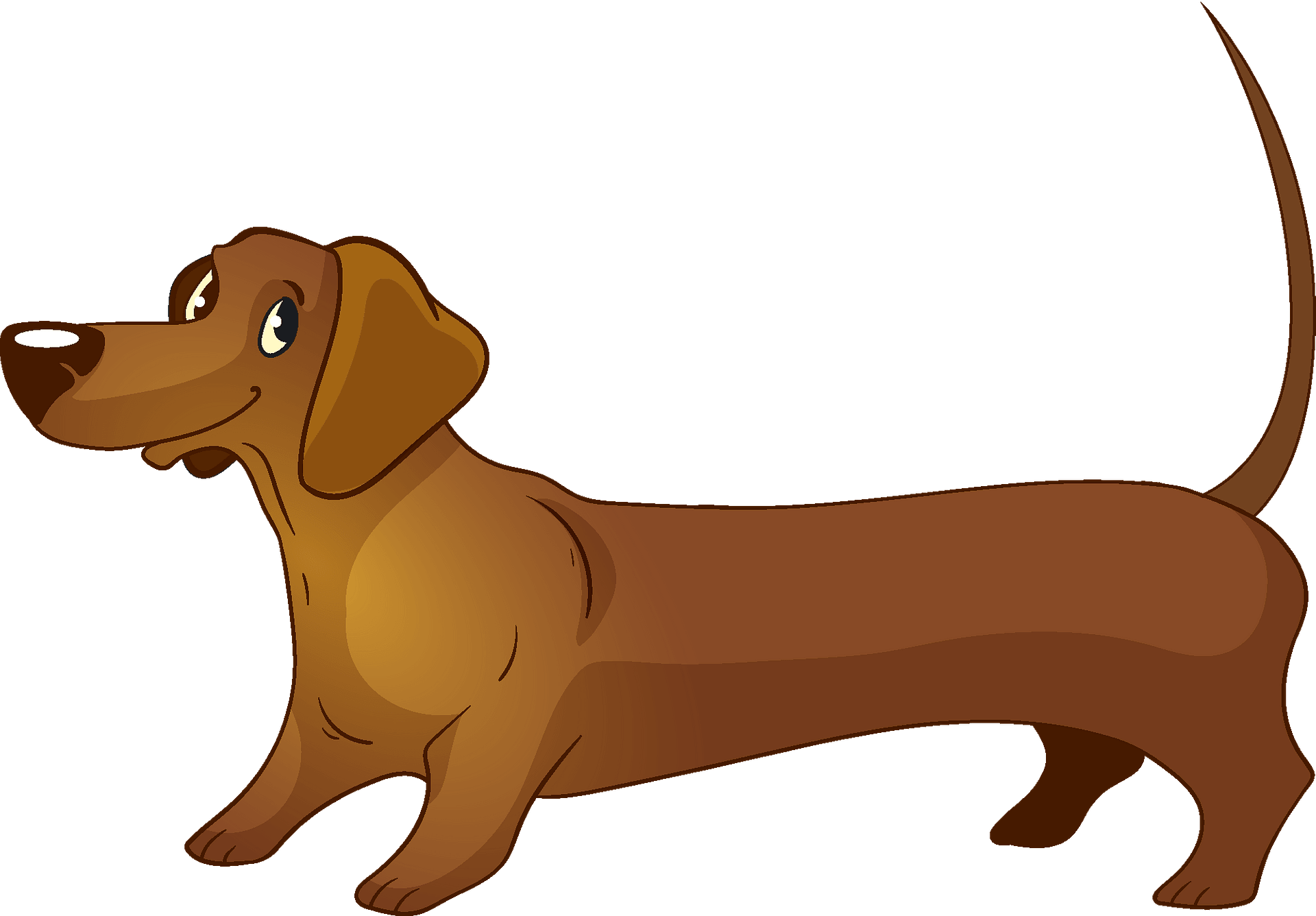 Dachshund Png Images (maroon, olive, gray)