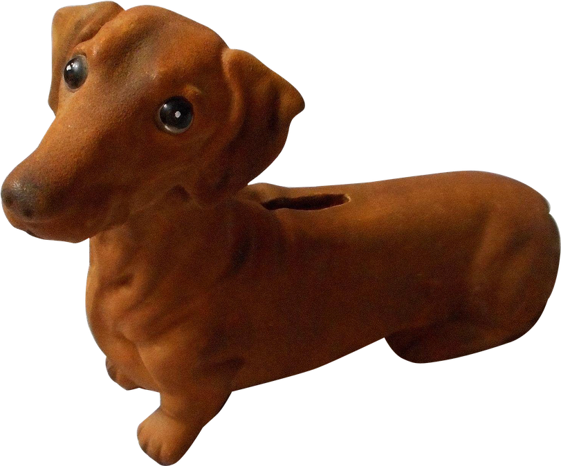 Dachshund (black, maroon)