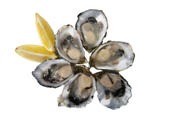 Pacific Oyster Png File (silver, lavender, black, gray)