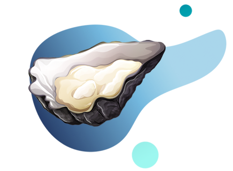 Pacific Oyster Png Photos (silver, indigo, mint, teal, white)