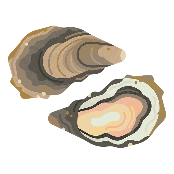 Pacific Oyster Png Pic (beige, silver, black, gray)