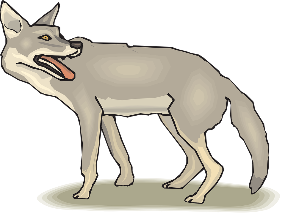 Jackal Transparent Isolated Images Png (gray, silver, black)