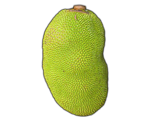 Jackfruit Png Pic (black, gold)