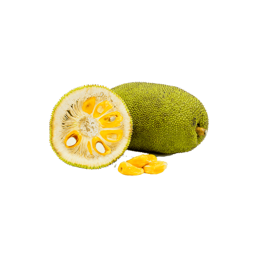 Jackfruit Transparent Background (gray)