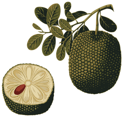 Jackfruit Transparent Png (black)