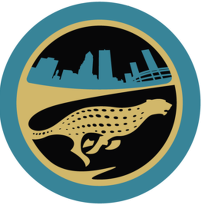 Jacksonville Jaguars Transparent Images Png (white, black, teal, salmon)