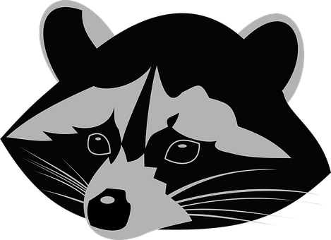 Racoon Png Image (silver, black)