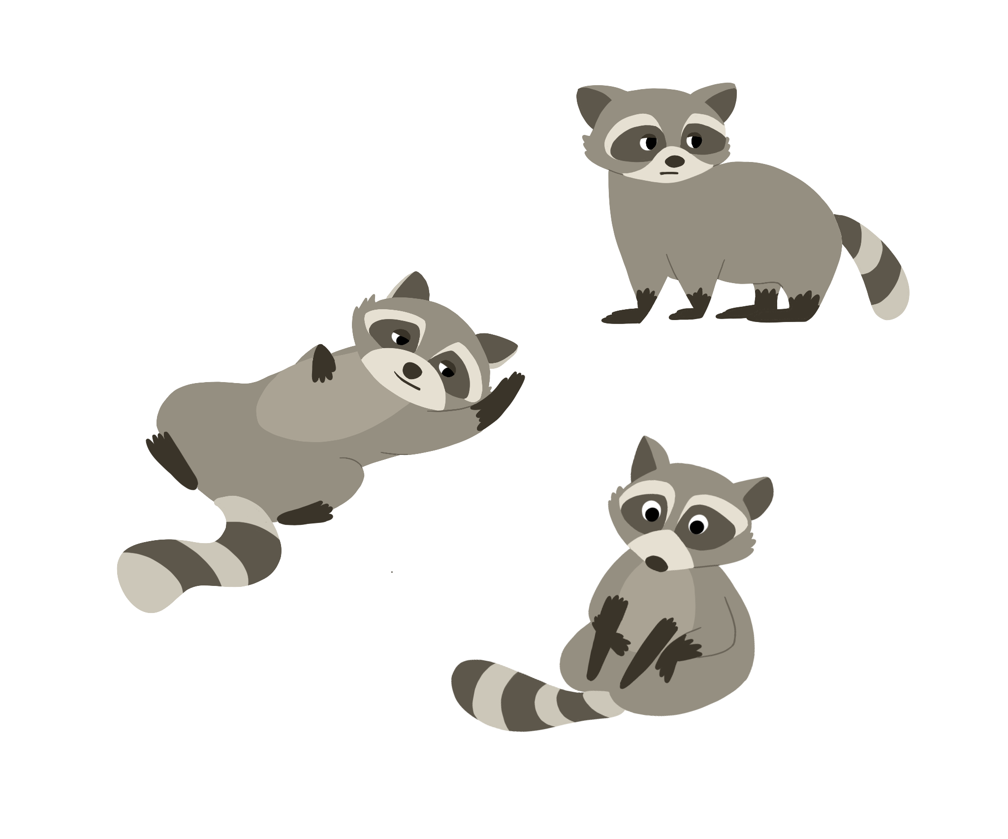 Racoon Png Photo (gray, silver, black)