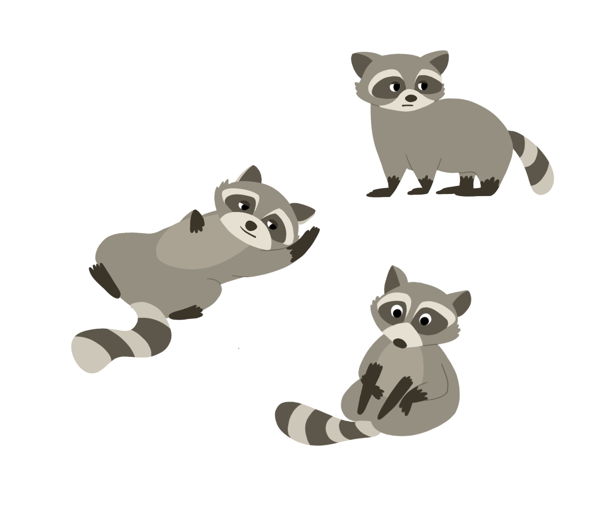 Racoon Png (gray, silver)