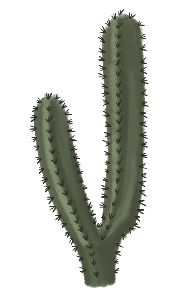 Cactus Clipart Png (black, gray, olive)