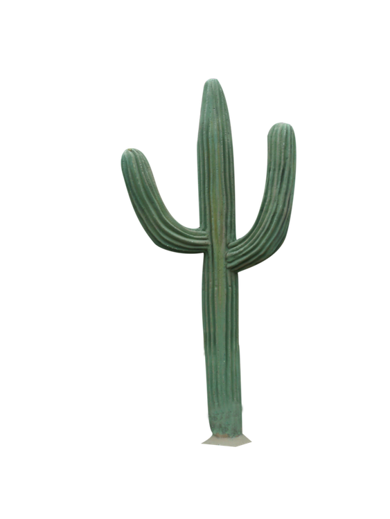 Cactus Png (black, gray)