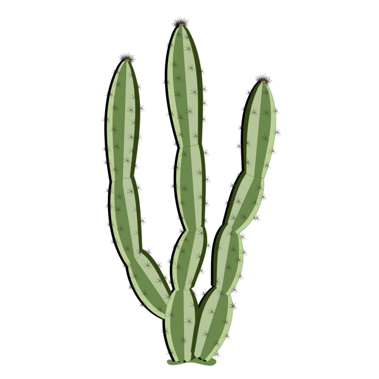 Cactus Plant Vector Png Transparent Image (black, gray, silver)