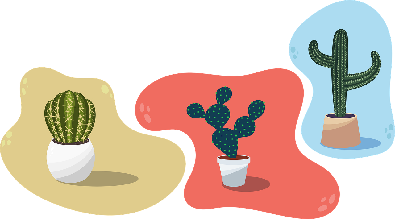 Cactus Plant Vector Transparent Png (white, salmon, mint, silver)