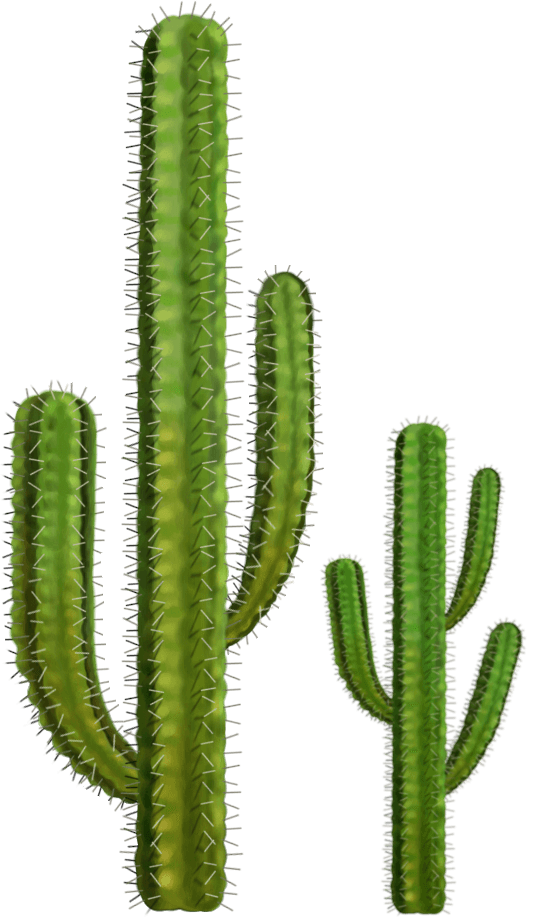 Cactus Prickle Png File (gray)