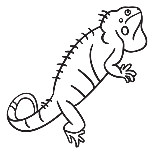 Madagascar Iguanids Png Image (black)