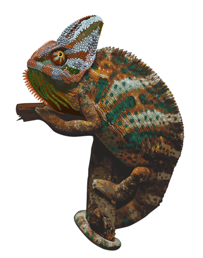 Madagascar Iguanids Png Photo (black)