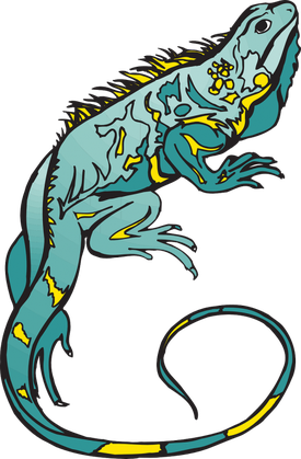 Madagascar Iguanids Png Photos (silver, black, teal)