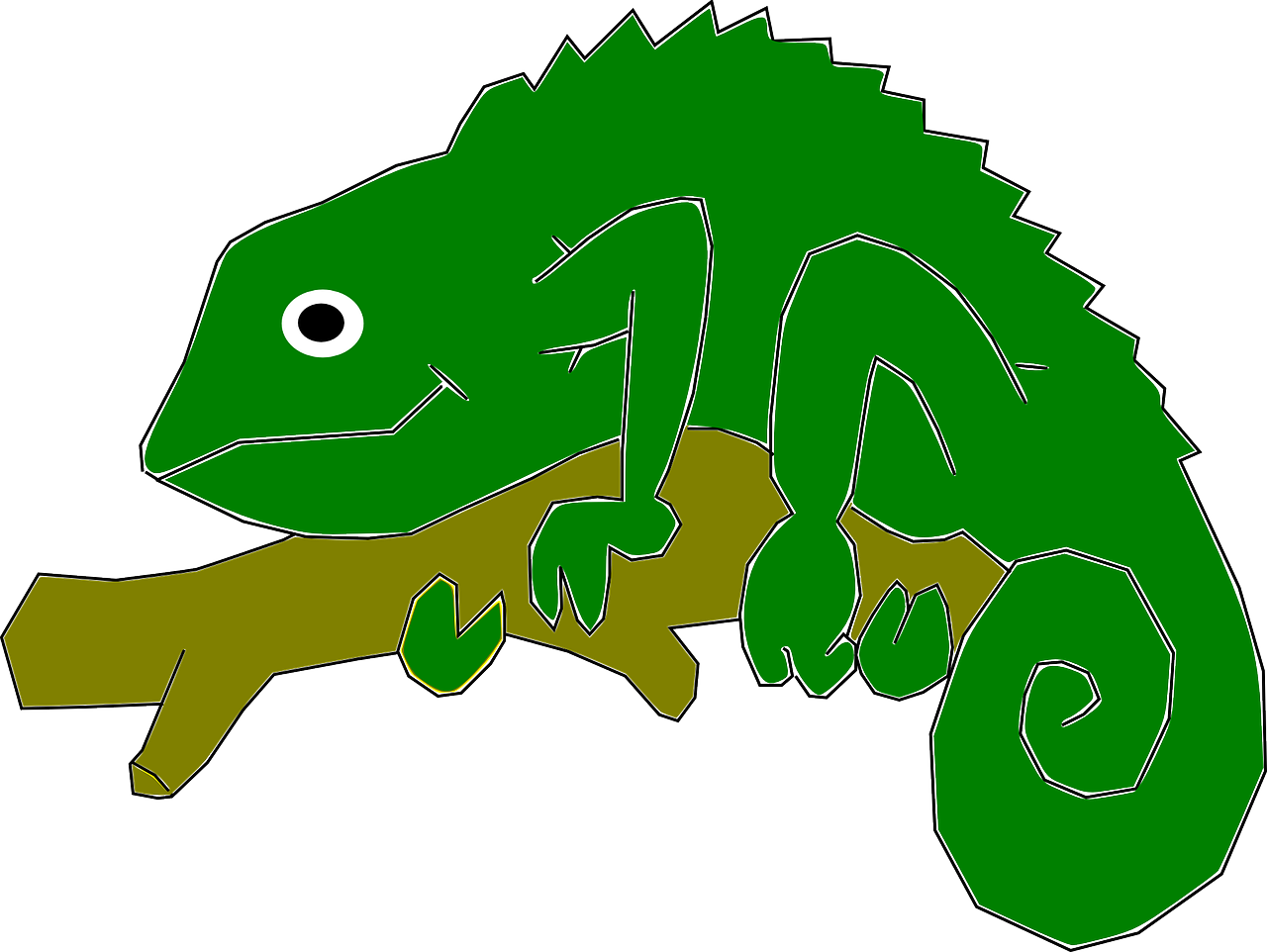 Madagascar Iguanids Png Picture (green, white, olive)