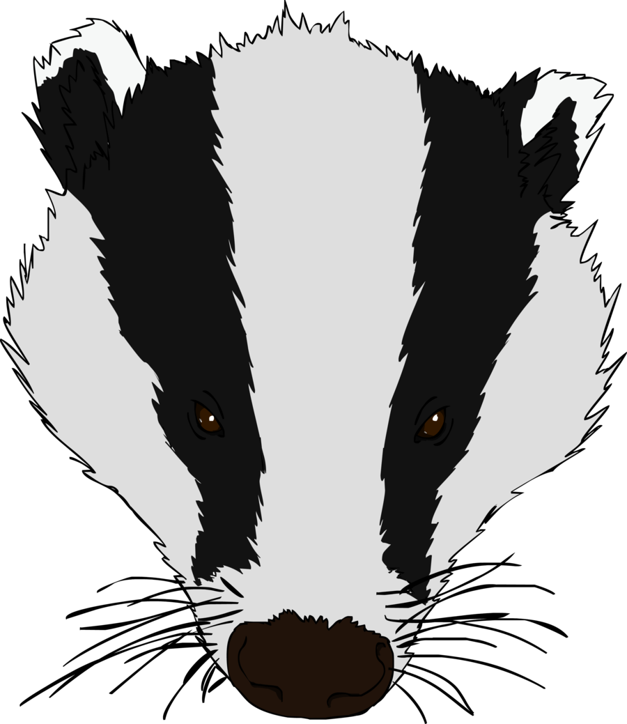 Badger Png Hd (lavender, black)