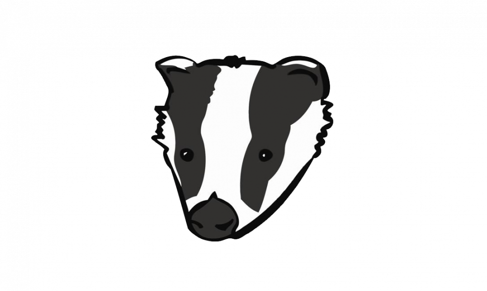 Badger Png Image (white, black)