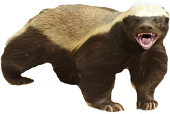 Badger Png Transparent (black)