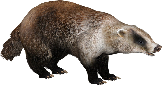 Badger Png (black)