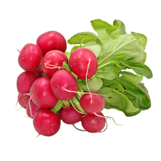 Radish Png Background Image (silver, black)