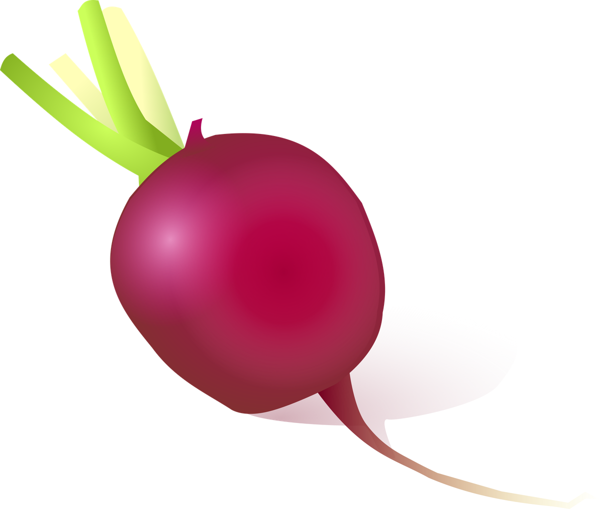 Radish Png Hd (maroon, purple, black, beige, white)