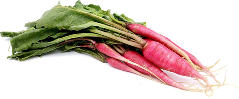 Radish Png Image (black)