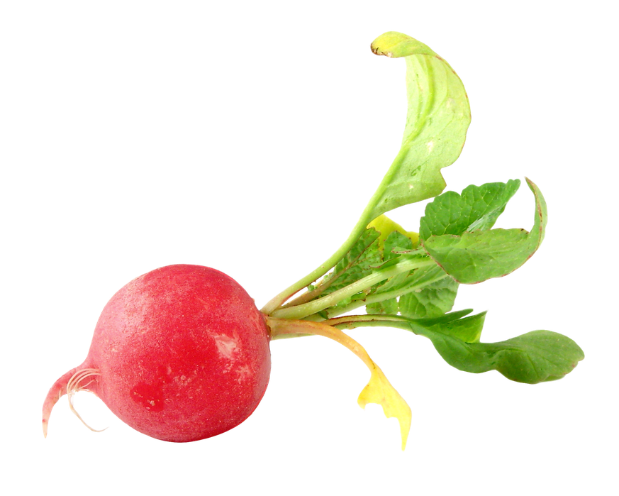 Radish Png Transparent Picture (chocolate, salmon, pink, black)