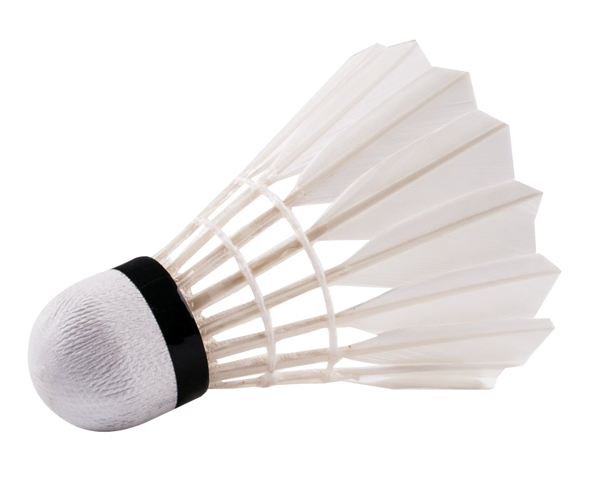 Badminton Birdie Png Image (white, beige, silver)