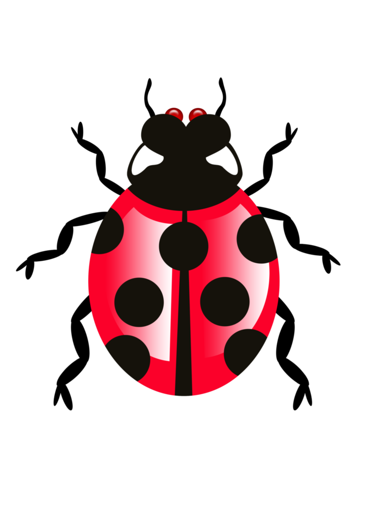 Lady Bugs Png File (black, red, salmon)