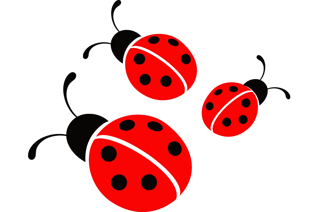 Ladybird Background Png (black, gray, red)