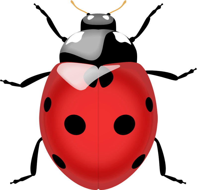 Ladybird Beetle Png Image (silver, chocolate, black)