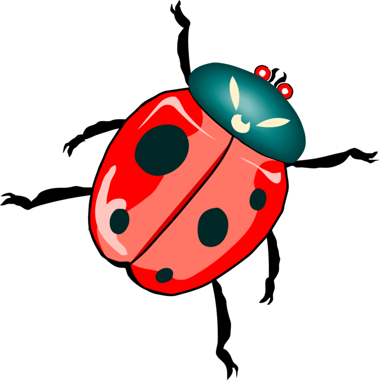 Ladybird Beetle Png Isolated Image (red, black, salmon)