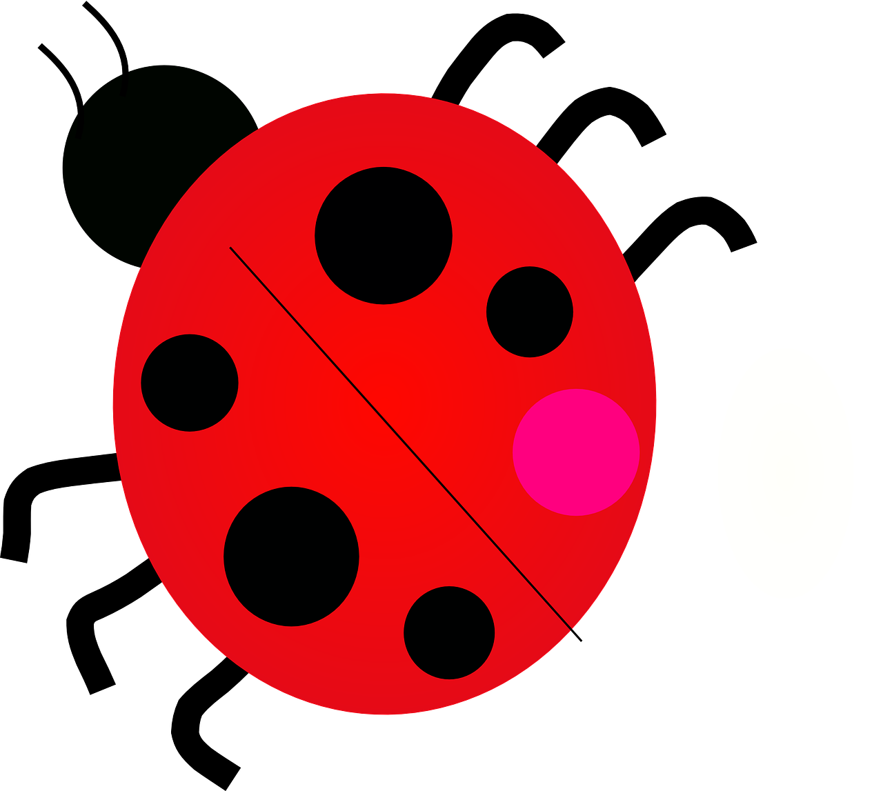 Ladybird Beetle Png Photo (white, red, black)