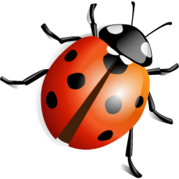 Ladybird Beetle Png Transparent (red, maroon, chocolate, black)