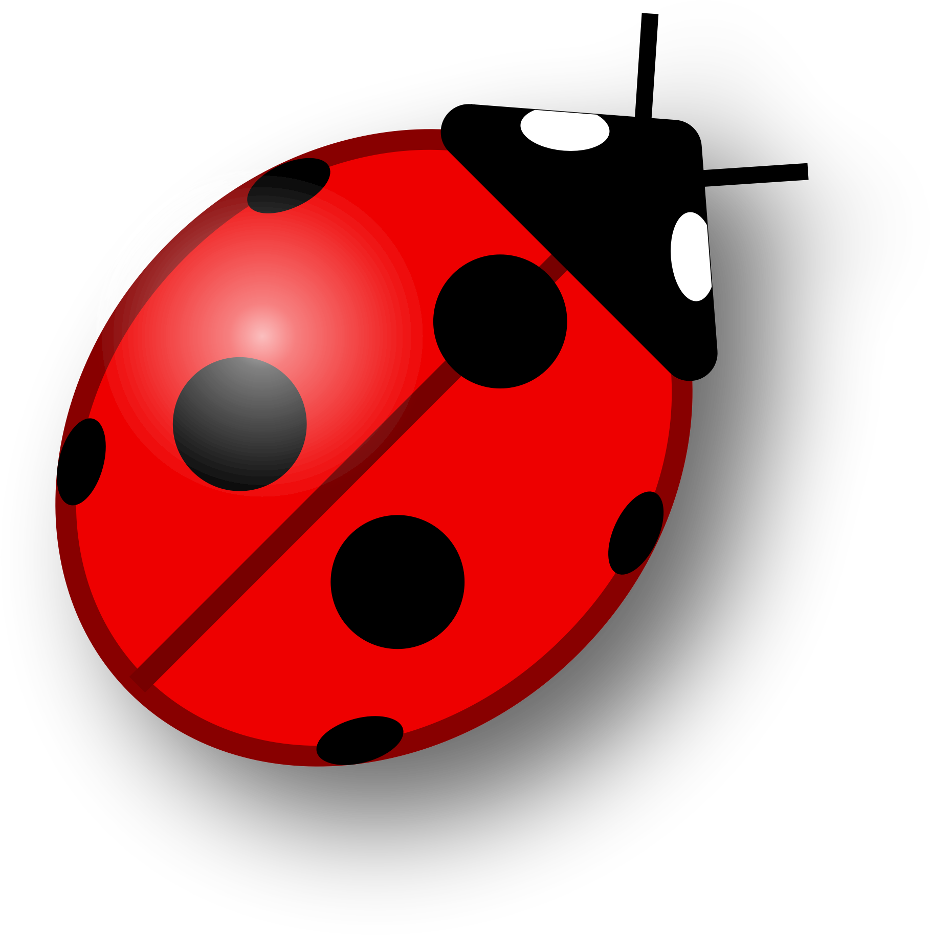 Ladybird Insect Png Cutout (black, maroon, red, white)