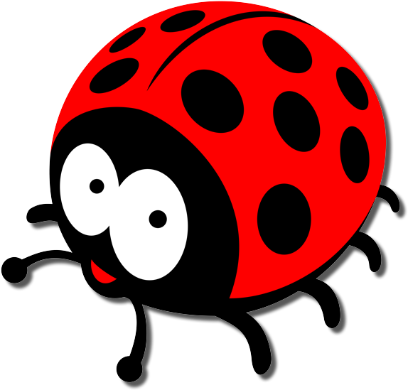 Ladybird Insect Png Photo (black, red, white)