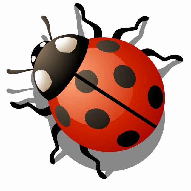 Ladybird Insect Transparent (black, red, gray, white)