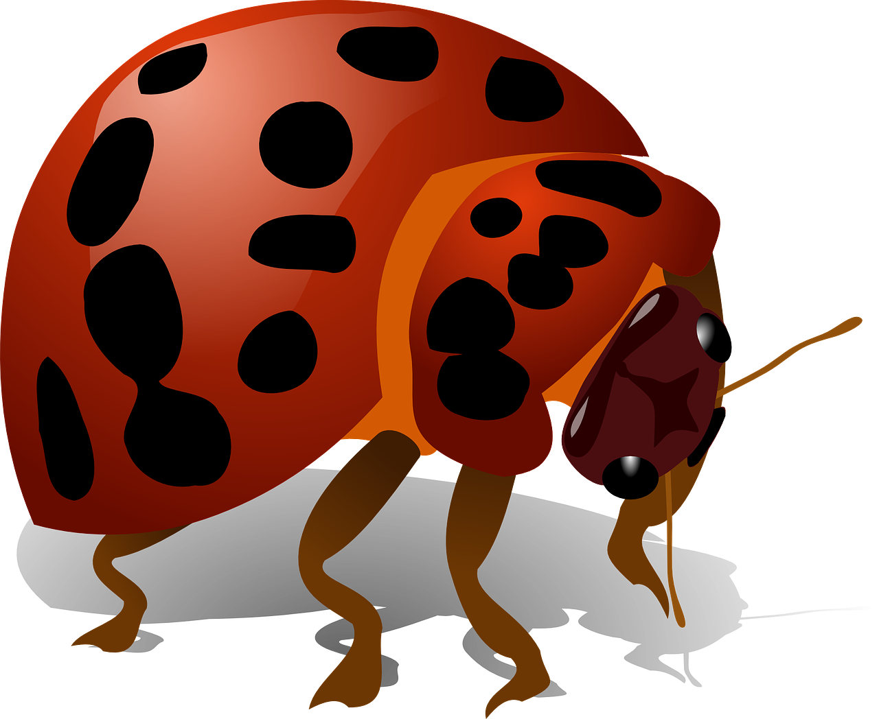 Ladybird No Background (chocolate, maroon, black, gray)