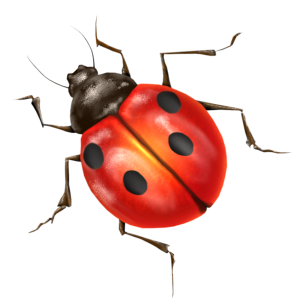 Ladybird Png Clipart (black)