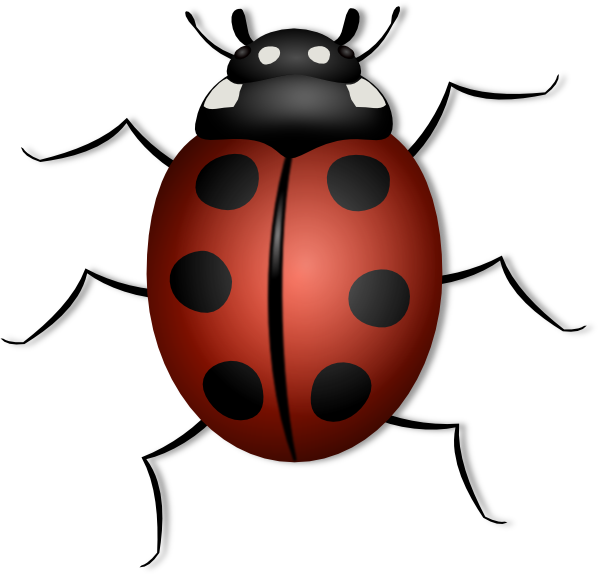 Ladybird Png Clipart (black, maroon, white)