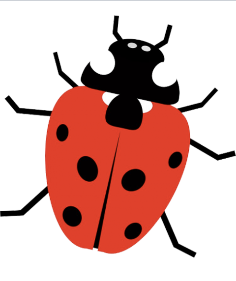 Ladybird Png Free Image (chocolate, black, gray)