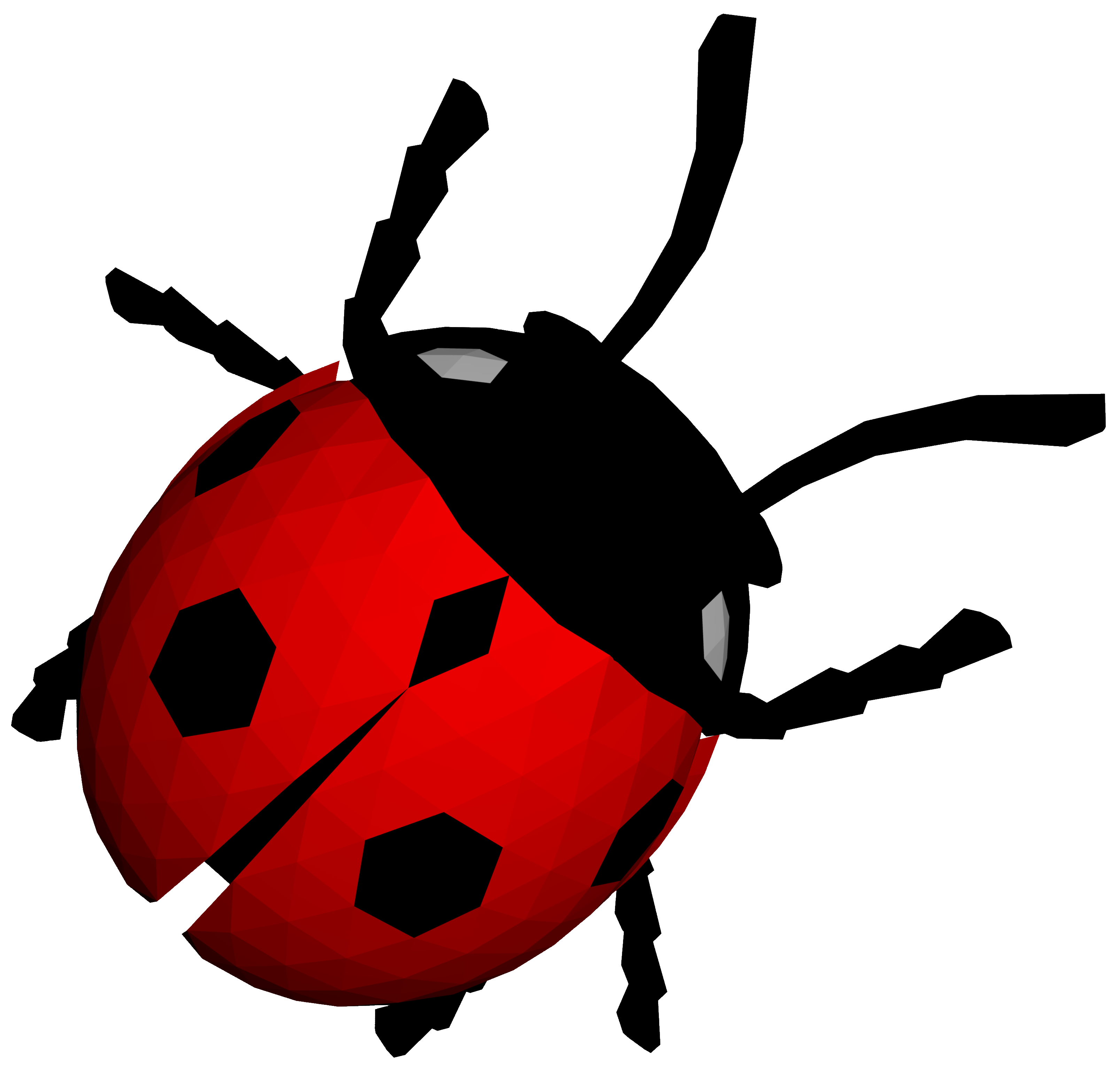 Ladybird Png Image Hd (black, red, white)