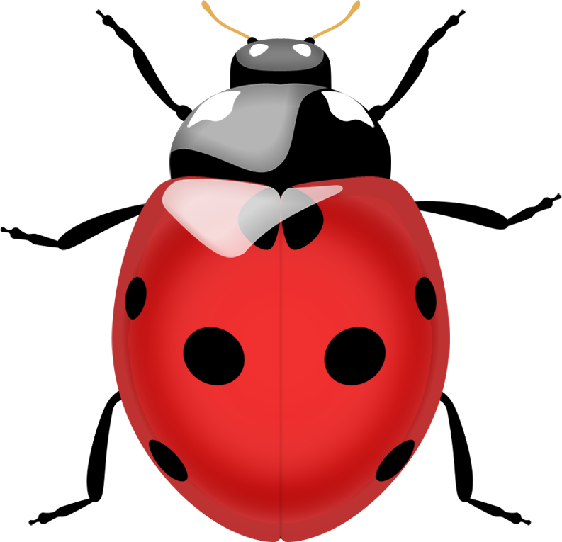 Ladybird Png Image (white, silver, chocolate, black)