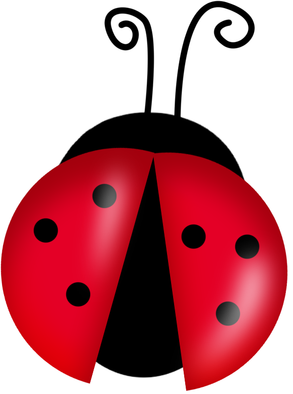 Ladybird Png Images (maroon, white, black, red, silver)