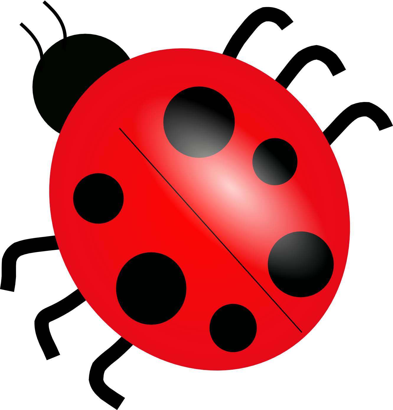 Ladybird Png Photo (black, red)