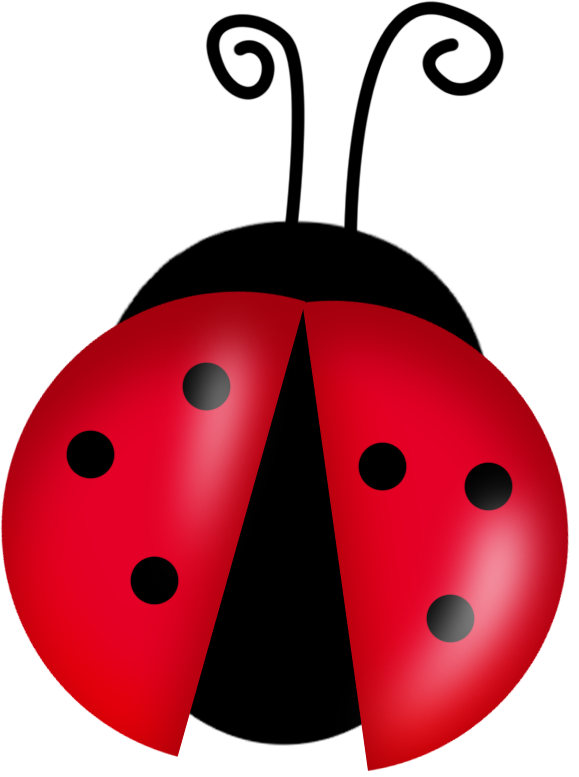 Ladybug Cute Insect Png Image (white, red, black, silver, maroon)