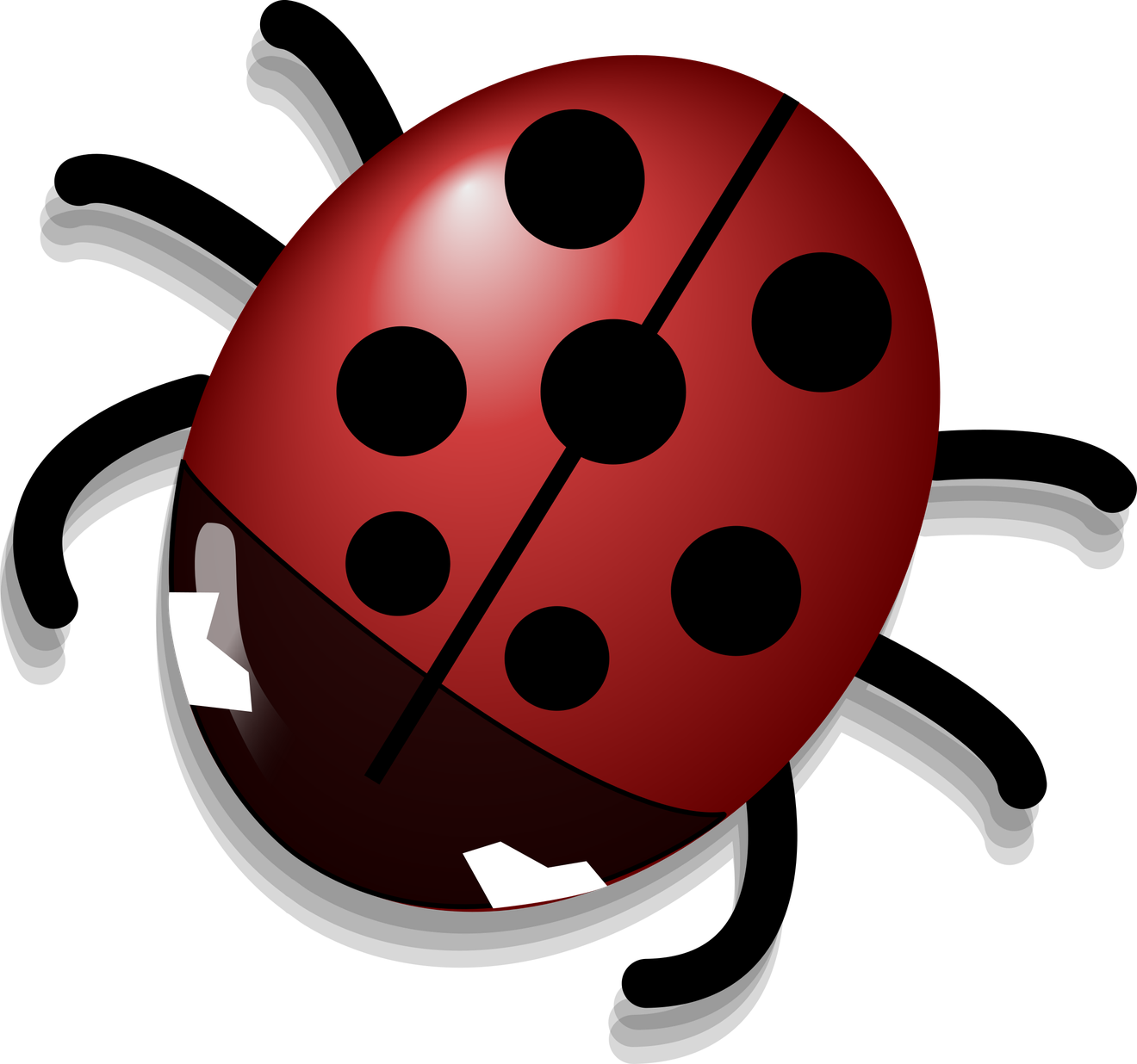 Ladybug Cute Insect Png Photos (black, white)